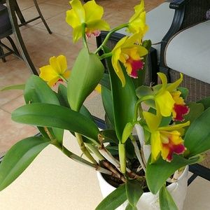 Meet your Posher, Maritza